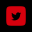 icon link twitter